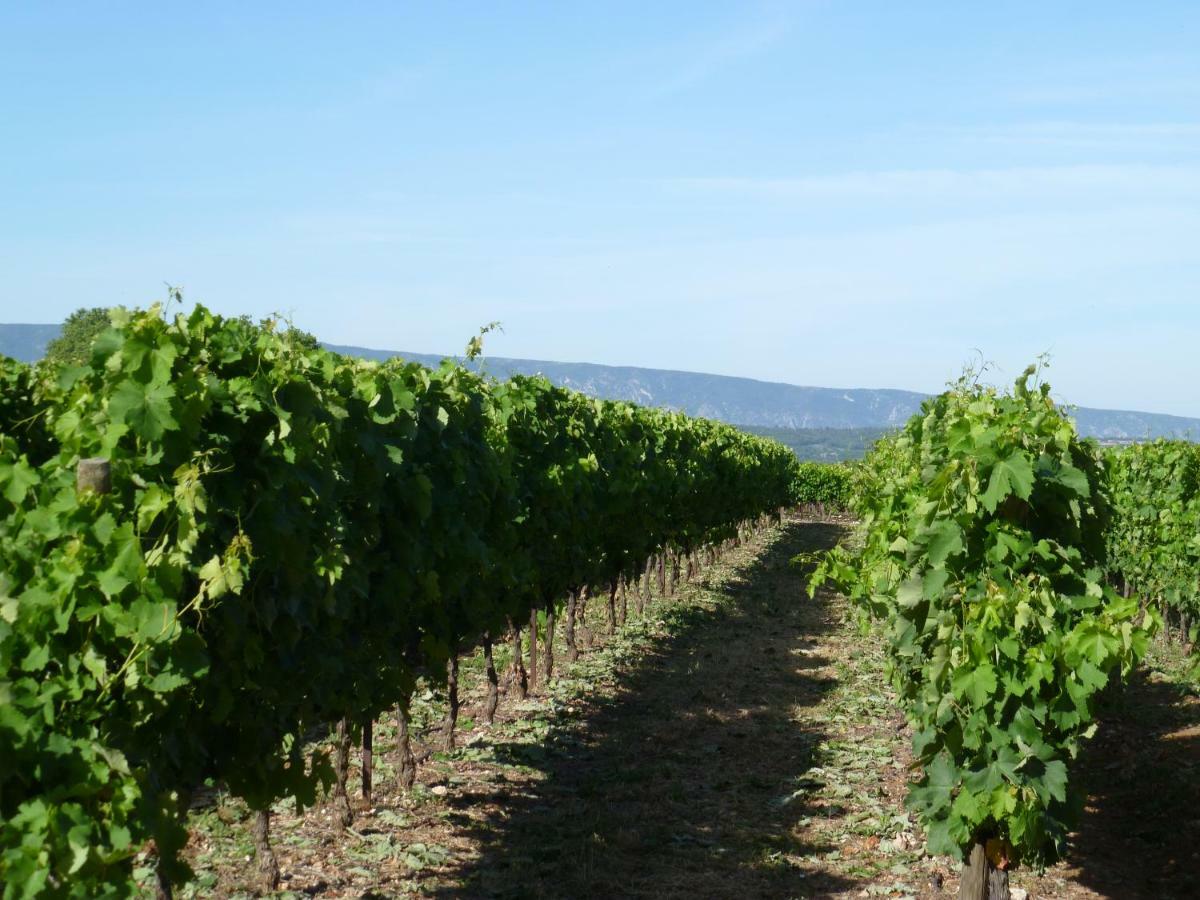 Luberon & Lavandes Roussillon en Isere Eksteriør billede
