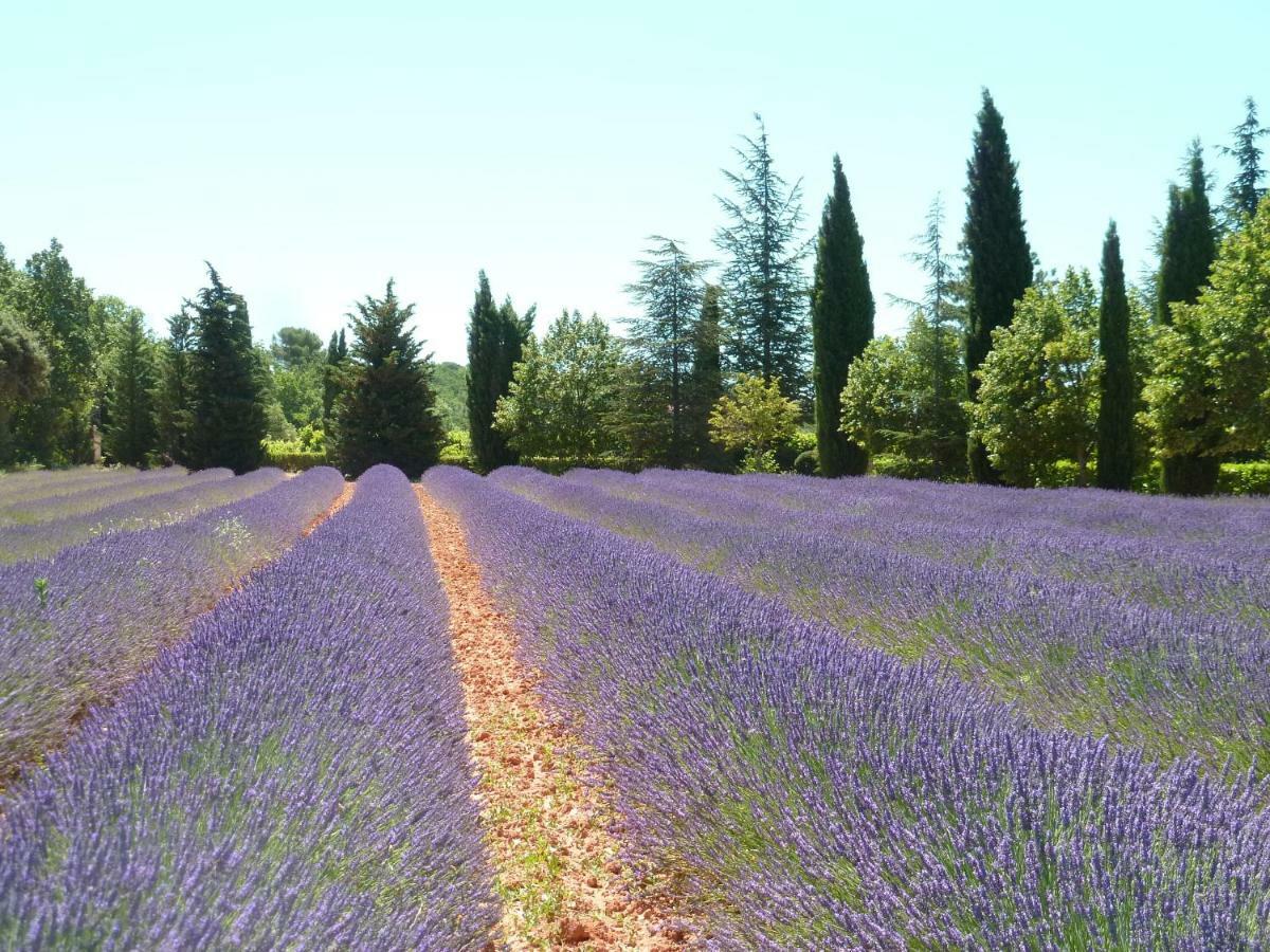 Luberon & Lavandes Roussillon en Isere Eksteriør billede